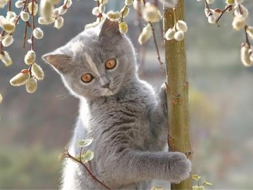 Синоптик розповіла, коли українцям чекати похолодання