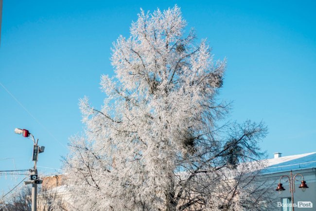Луцьк – у кришталевій паморозі: казкові світлини різдвяного ранку. ФОТО