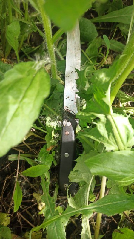 На Волині чоловік вбив брата та втік: поліцейські затримали зловмисника у Львові