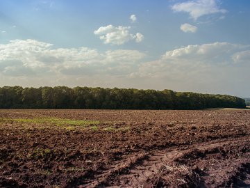 Волинський підприємець розорав пасовища, вартістю 101 мільйон гривень