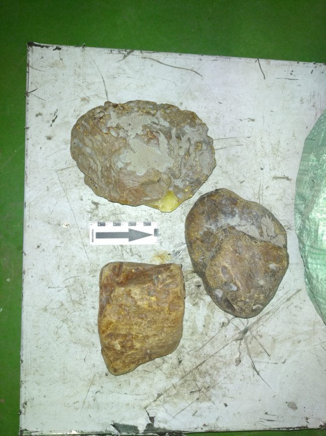 Через «Ягодин» хотіли вивезти 230 кілограмів бурштину. ФОТО