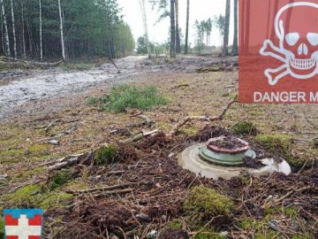 Одна п’ята території України забруднена мінами та бомбами, які не розірвалися, – Єнін