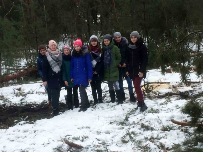  Волинські школярі ходили у «шишкову експедицію». ФОТО