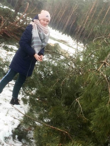  Волинські школярі ходили у «шишкову експедицію». ФОТО