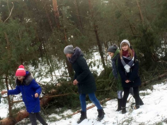  Волинські школярі ходили у «шишкову експедицію». ФОТО