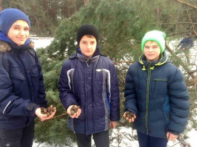  Волинські школярі ходили у «шишкову експедицію». ФОТО