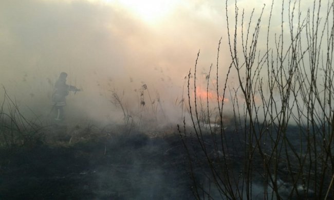 На Волині за минулий тиждень рятувальники 92 рази виїжджали на гасіння сухої трави. ФОТО. ВІДЕО