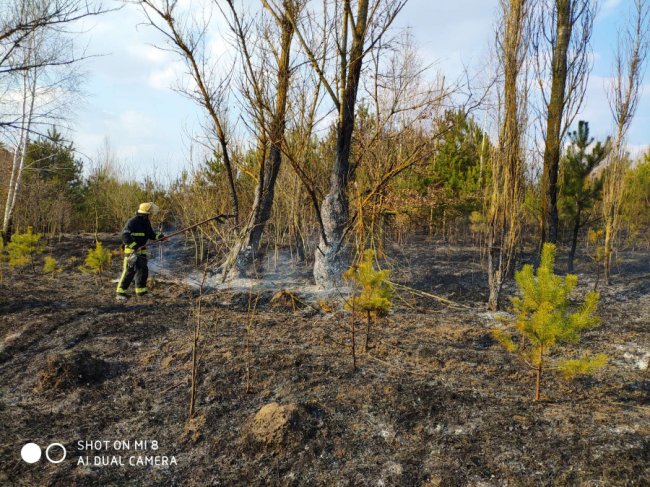 На Волині за минулий тиждень рятувальники 92 рази виїжджали на гасіння сухої трави. ФОТО. ВІДЕО
