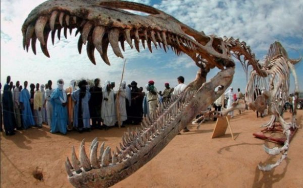 Загадки, на які ми не знаємо відповідей, або як мало ми знаємо про наш світ. ФОТО