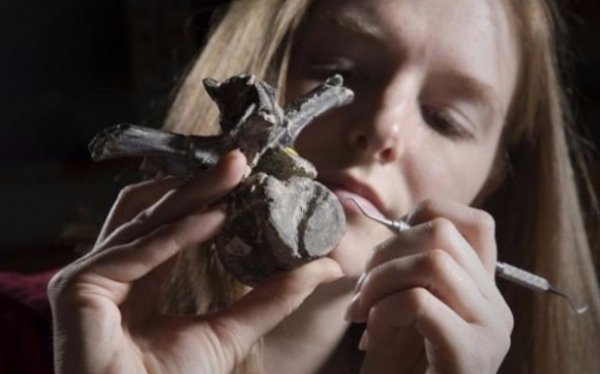 Загадки, на які ми не знаємо відповідей, або як мало ми знаємо про наш світ. ФОТО