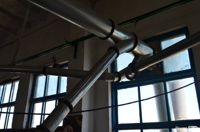 Експрес-подорож областю: на Волині – лісівники з усієї країни. ФОТО