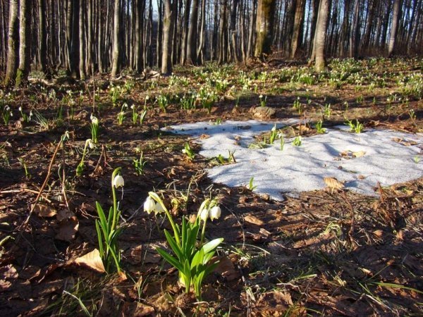 Фотовиставка Сергія Палька