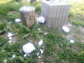 У парку біля Луцька розтрощили фігури ангелів і дитмайданчик