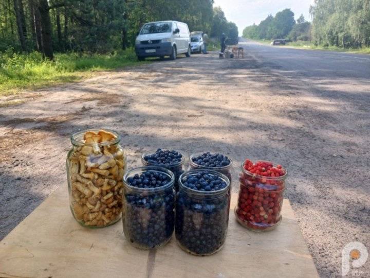 Скільки на Волині коштують ягоди та гриби. ФОТО