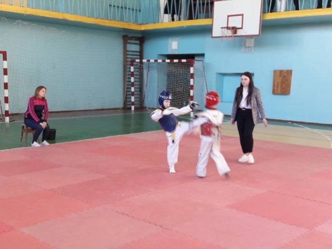 Юні лучани вибороли нагороди на чемпіонаті з тхеквондо