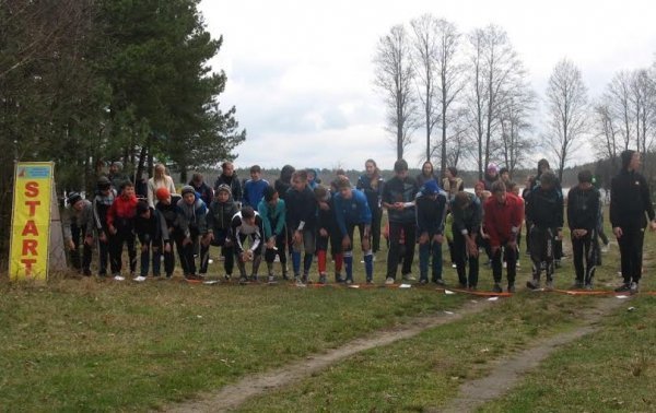 На Волині відбувся чемпіонат зі спортивного орієнтування. ФОТО