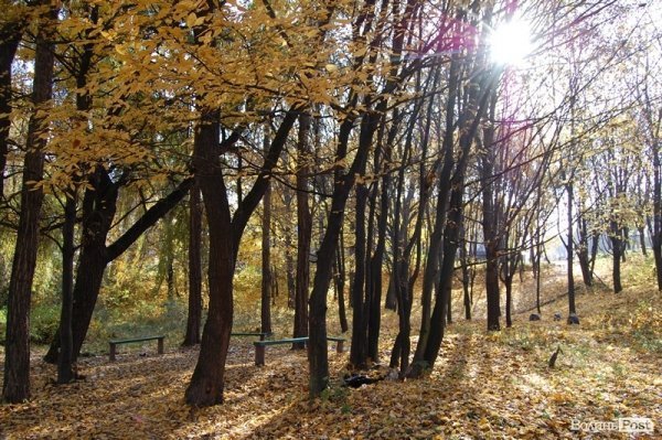 Парк у Луцьку: осіння краса і людська байдужість. ФОТО