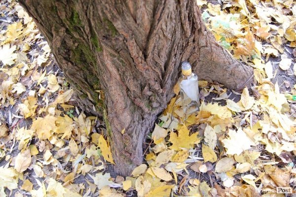 Парк у Луцьку: осіння краса і людська байдужість. ФОТО