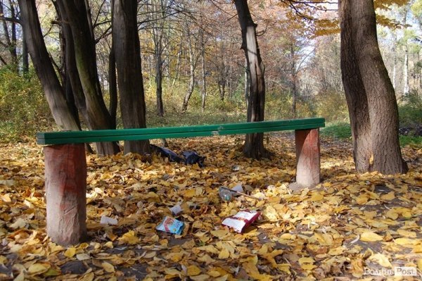 Парк у Луцьку: осіння краса і людська байдужість. ФОТО