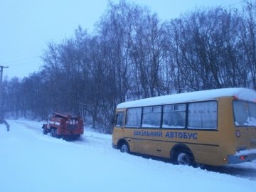 Через ожеледицю чимало дітей на Волині не потрапили до школи