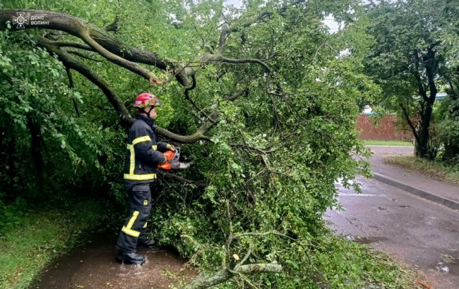 Гроза на Волині наробила шкоди: рятувальники показали наслідки