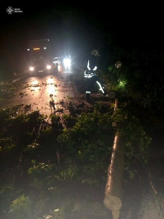 Гроза на Волині наробила шкоди: рятувальники показали наслідки