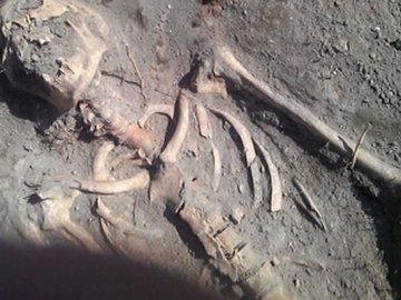 У волинському селі біля смітника знайшли людські останки