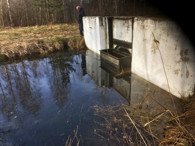 Світязь піднявся до рекордного за останні роки рівня. ФОТО