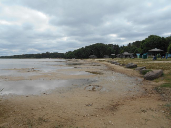 Світязь піднявся до рекордного за останні роки рівня. ФОТО