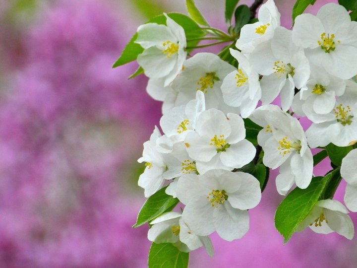 Погода в Луцьку та Волинській області на завтра, 4 травня