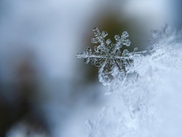 Погода в Луцьку та Волинській області на вівторок, 21 січня