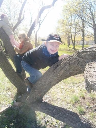 Луганська художниця-переселенка у Луцьку знову почала малювати. ФОТО