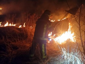У селі під Луцьком – велика пожежа сухостою