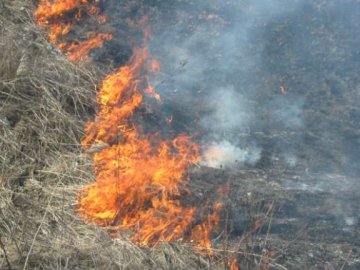 У селі під Луцьком зловили чоловіка, який підпалив поле із сухою травою