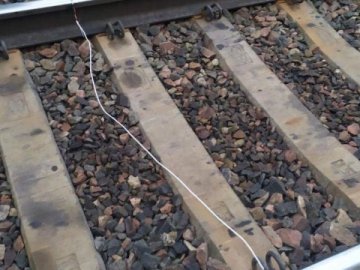 «Рейковим партизанам» з Білорусі загрожує смертна кара  