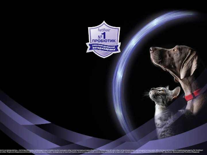 Purina Pro Plan Veterinary Diets FortiFlora: як пробіотики підтримують травлення та імунітет тварин
