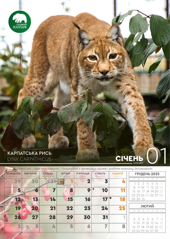 Луцький зоопарк випустив календар зі світлинами своїх підопічних. ФОТО