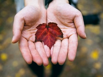 18 жовтня – яке сьогодні свято і що не можна робити в цей день