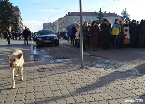 У Луцьку на Євромайдані – навіть собаки. ФОТО