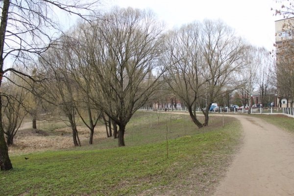 У Луцьку обговорили, як прибиратимуть парк 900-річчя Луцька. ФОТО