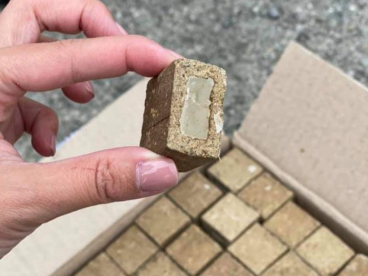 На Волині розкидали понад 300 тисяч доз вакцин від сказу для диких тварин