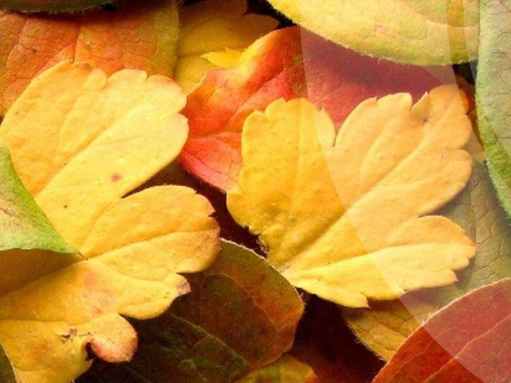 Якою буде погода у Луцьку та на Волині у понеділок, 27 жовтня