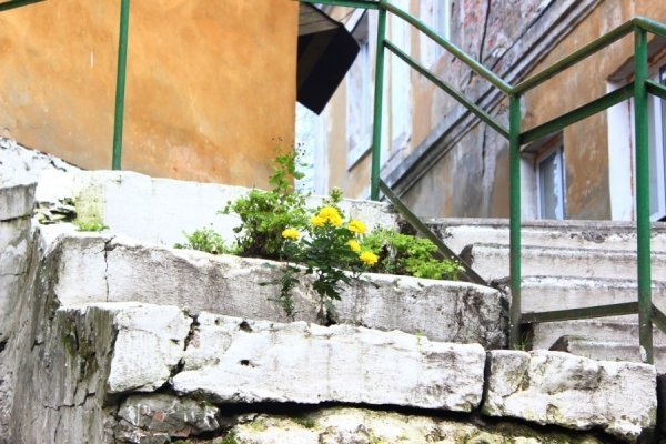 Фотовиставка Тетяни Полуектової