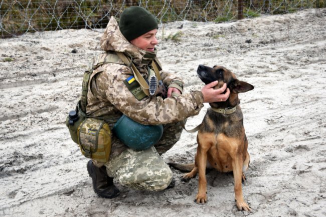 Тварин полюбив під час роботи в Італії: історія кінолога з Волинського прикордонного загону