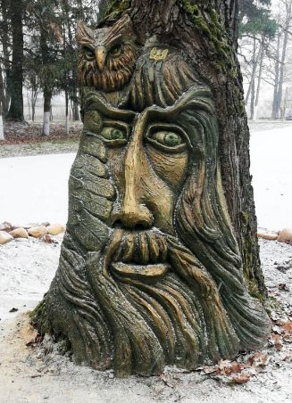 На Волині життя столітнього дуба врятували неймовірною скульптурою. ФОТО