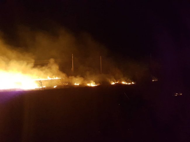 У Ковелі намагаються загасити пожежу на полі. ФОТО