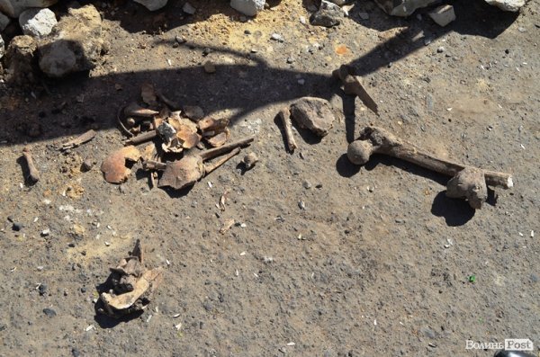 У сквері, в центрі Луцька, знайшли людські рештки. ФОТО