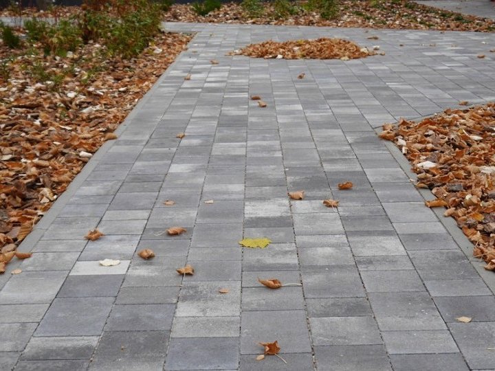 Як правильно вибрати тротуарну плитку для подвір’я: поради від компанії Спецрент