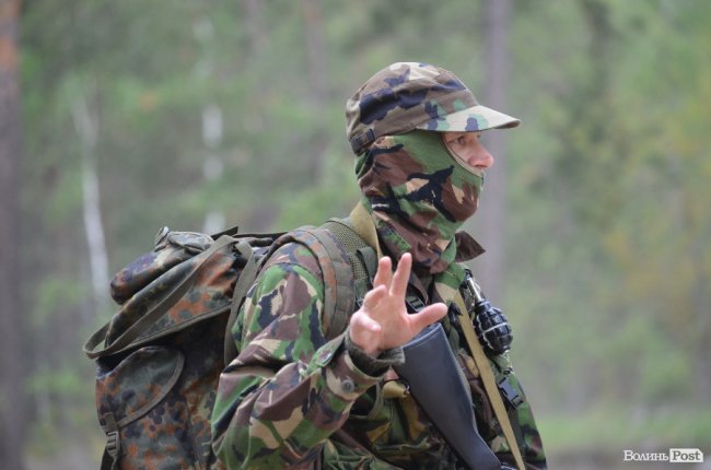 Війна у лісах Волині: підготовка загонів тероборони