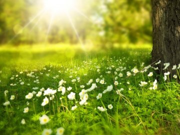 Погода у Луцьку на завтра, 6 травня